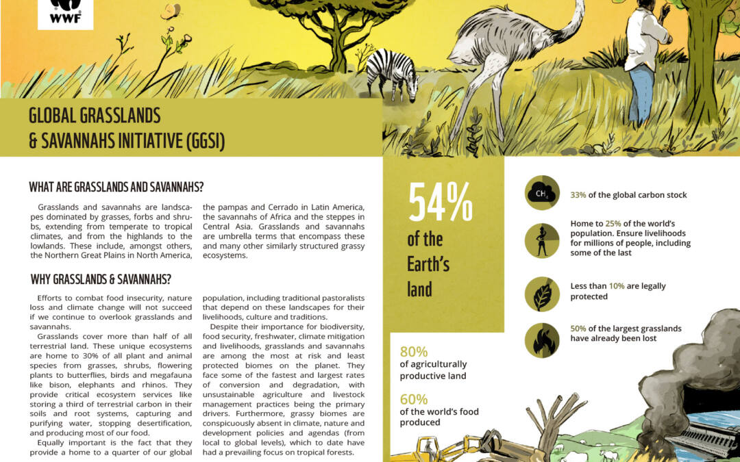 Projeto para a WWF