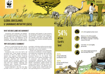 Projeto para a WWF
