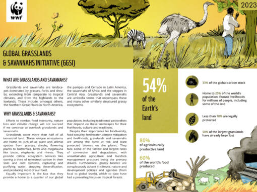 Projeto para a WWF