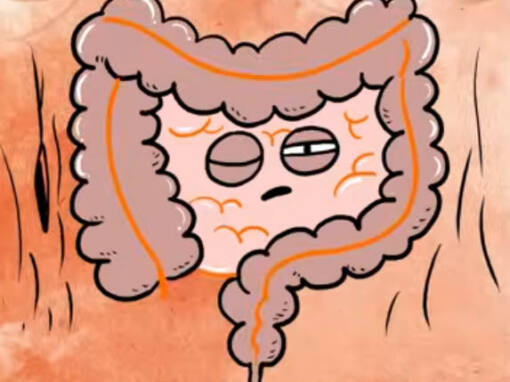 Tino o intestino